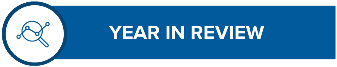 Newsletter subheadyearinreview2-1